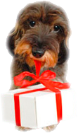 Exklusive Geschenk schnell geliefert.